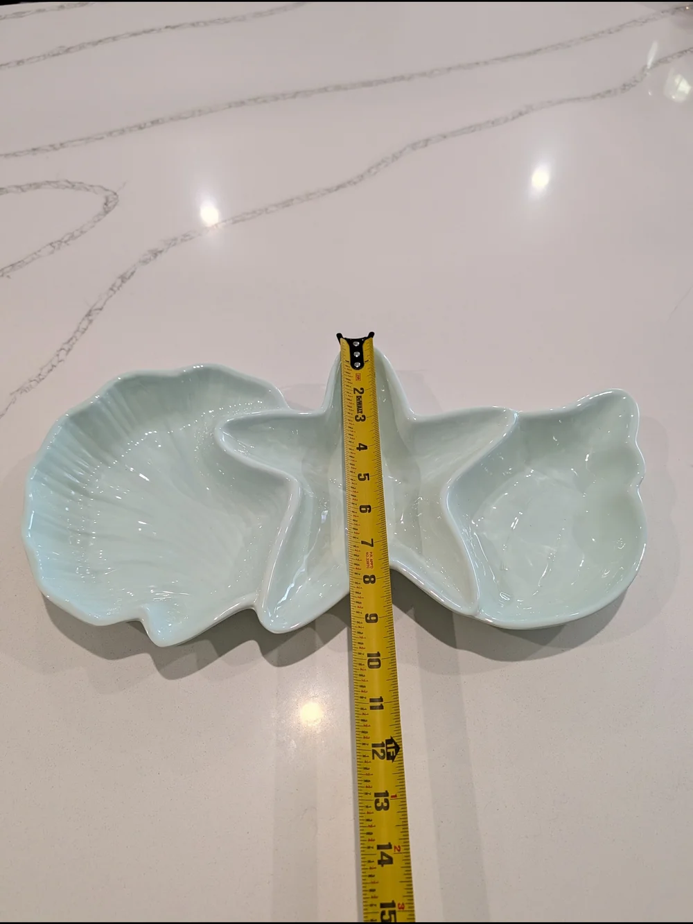 Pier 1 Imports Seabirds divided serving dish Coastal Melamine Platter Teal